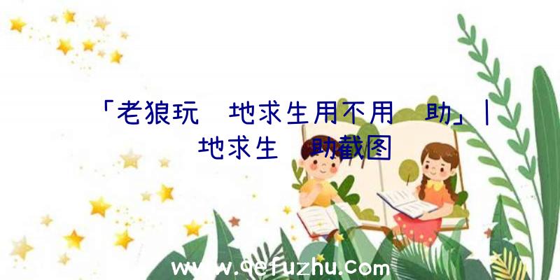 「老狼玩绝地求生用不用辅助」|绝地求生辅助截图